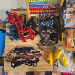 Dog Accessories 