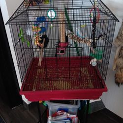 Medium Sized Bird Cage!