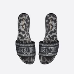 Christan Dior Dway Slide 