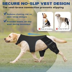Pawfun Dog Knee Brace for Torn ACL CCL– Adjustable Dog Rear Leg Support Brace with 4 Metal Stabilizers, Helps with Luxating Patella, Ligament Injuries