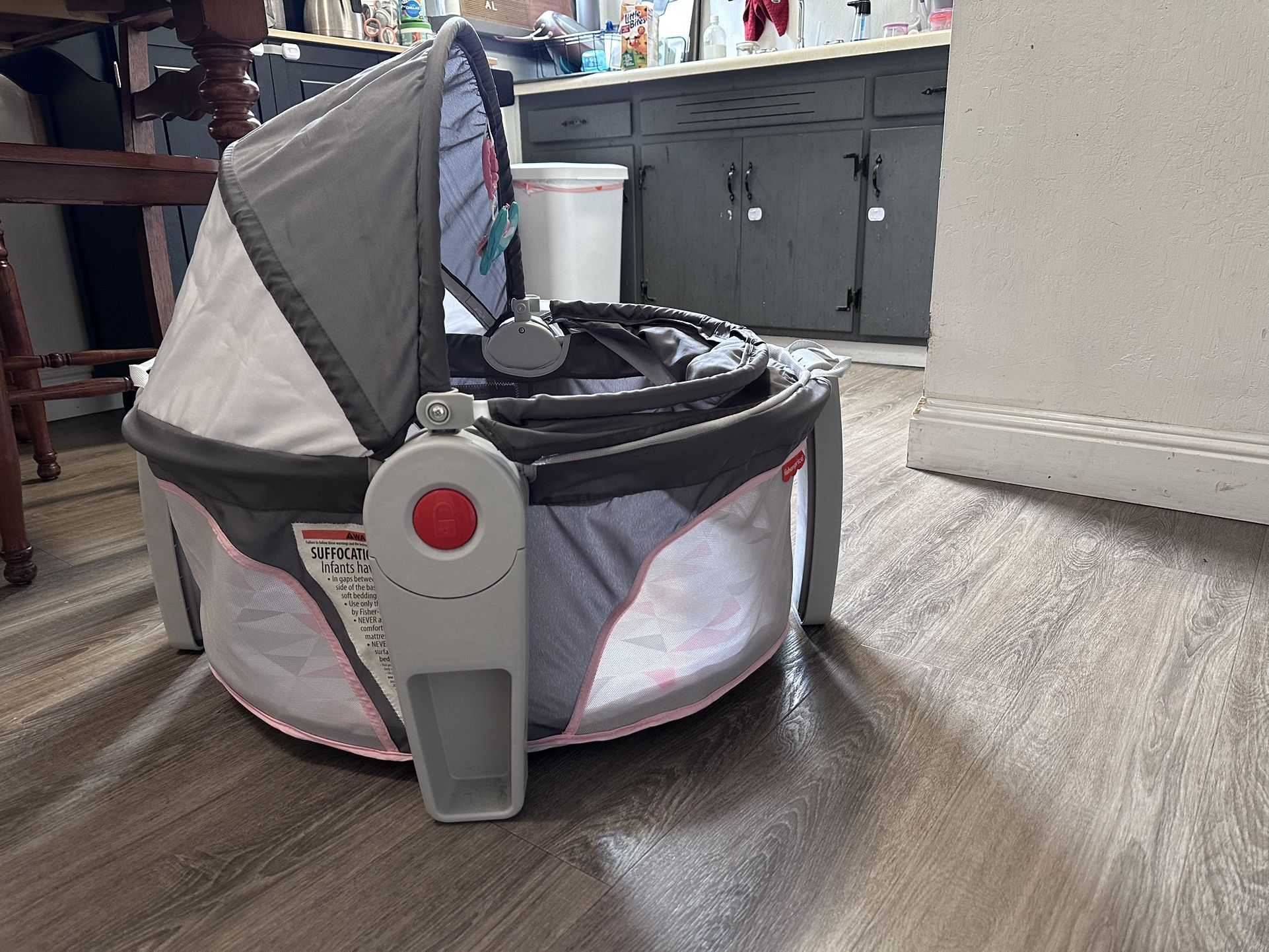 Fisher Price On The Go Bassinet