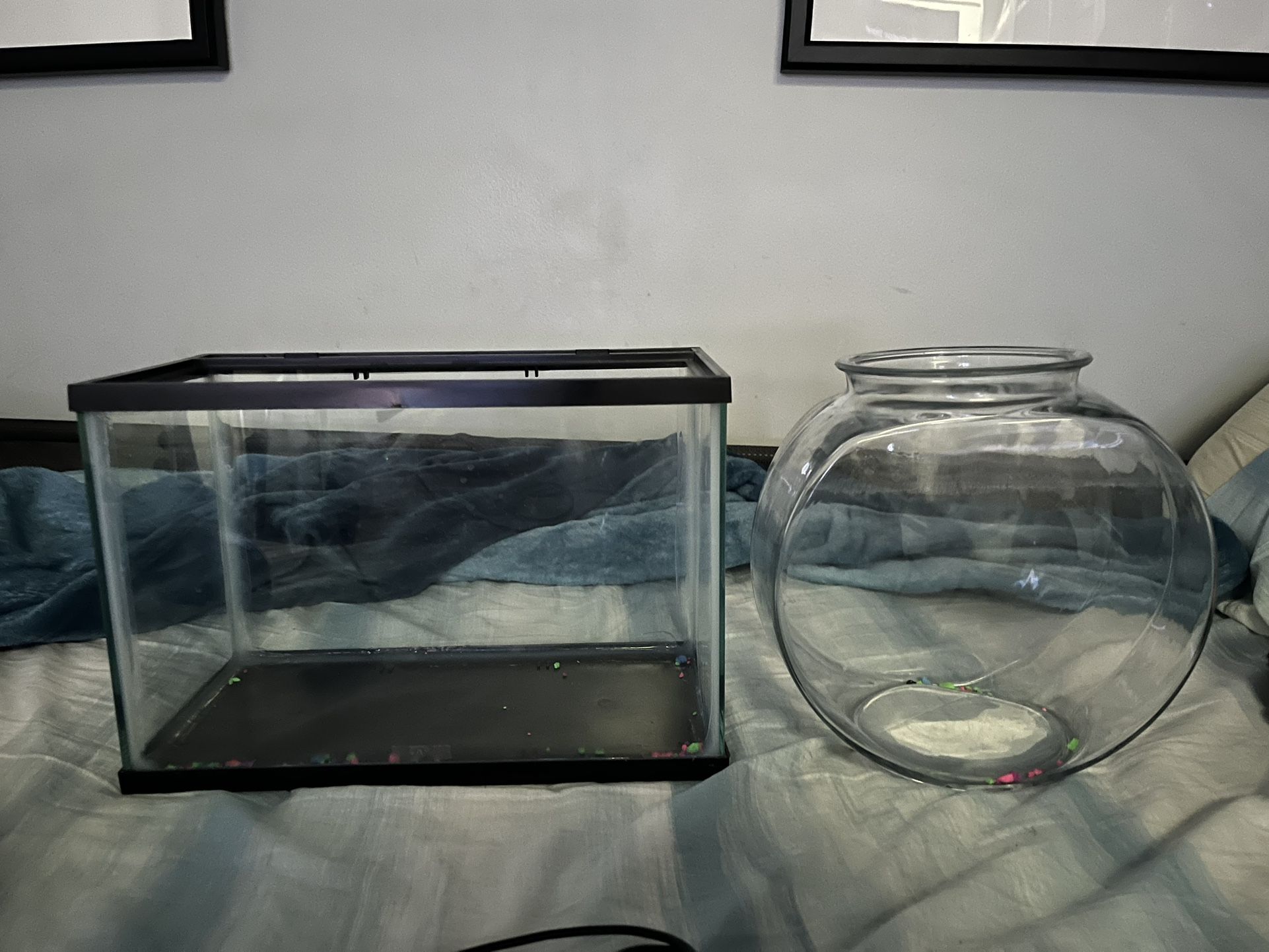 Fish Tanks For Sale