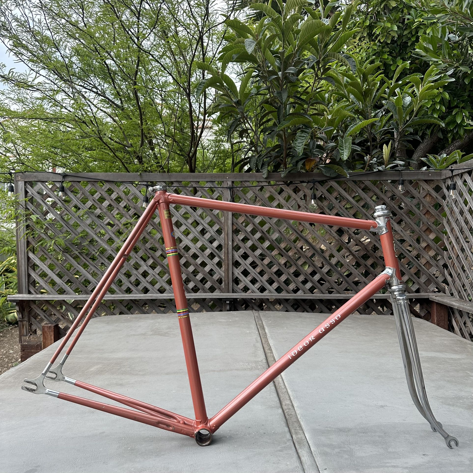 Vintage IDEOR ASSO pista/track frameset