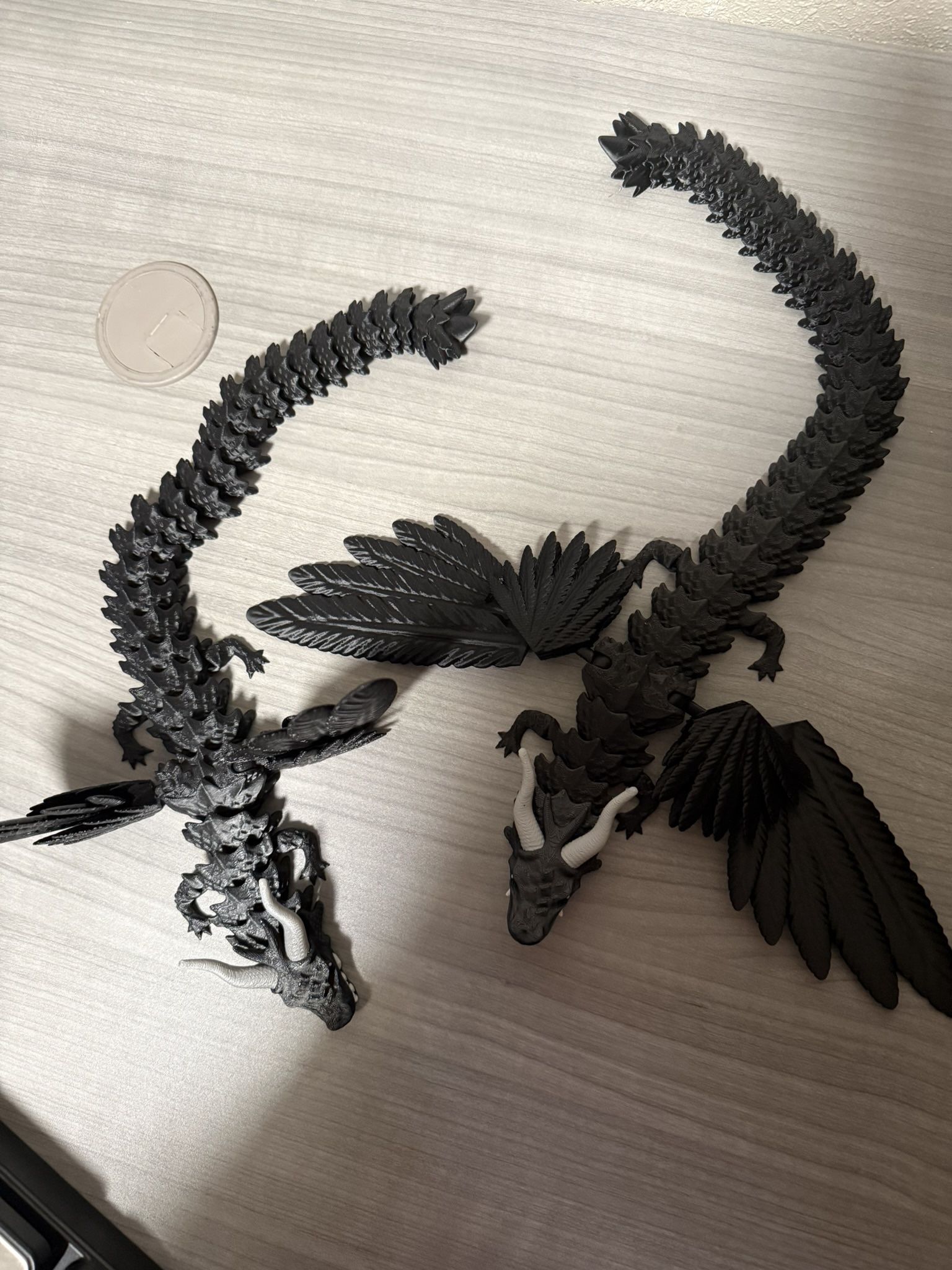 3D Dragons