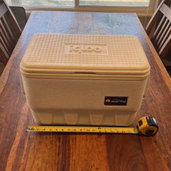 Igloo Cooler 