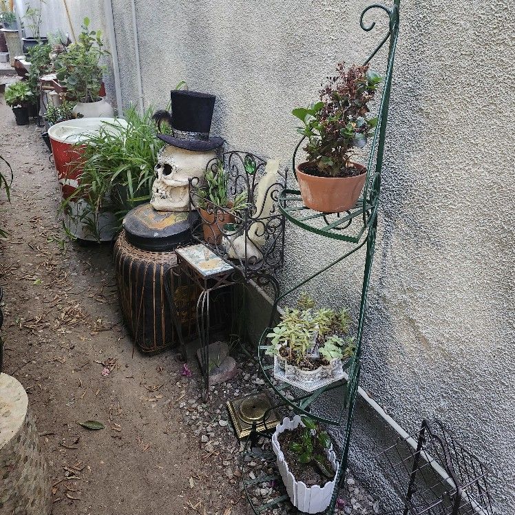 Corner Plant Stand