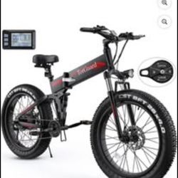 Electric Bike