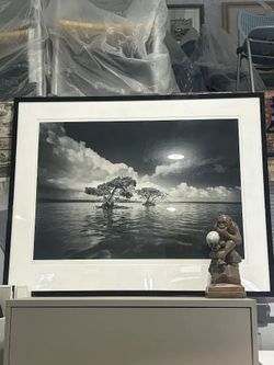 Large Framed Black & White Landscape Photo – $250