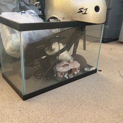 Fish Tank