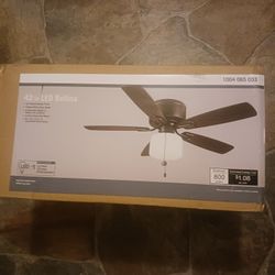 Hampton Bay 42 Bellina in Oil Rubbed Bronze