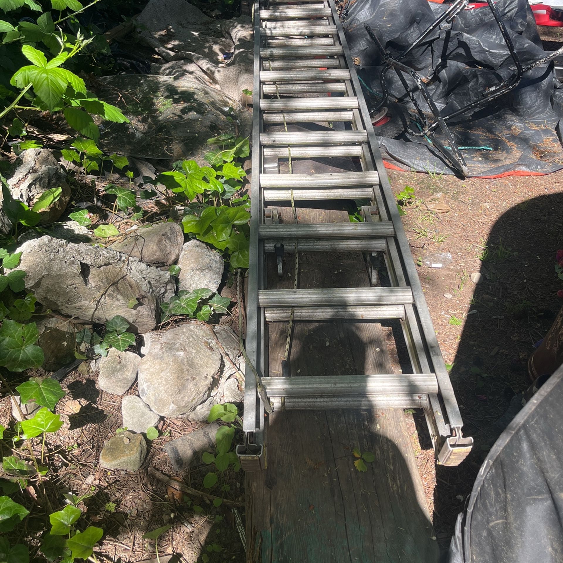 Werner 16 Ft Ladder