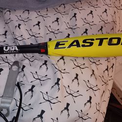 Easton Bat