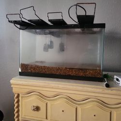 Free 10 Gallon Aq.