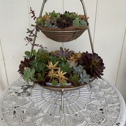 Two Tier Basket With Beautiful Succulent Plants 