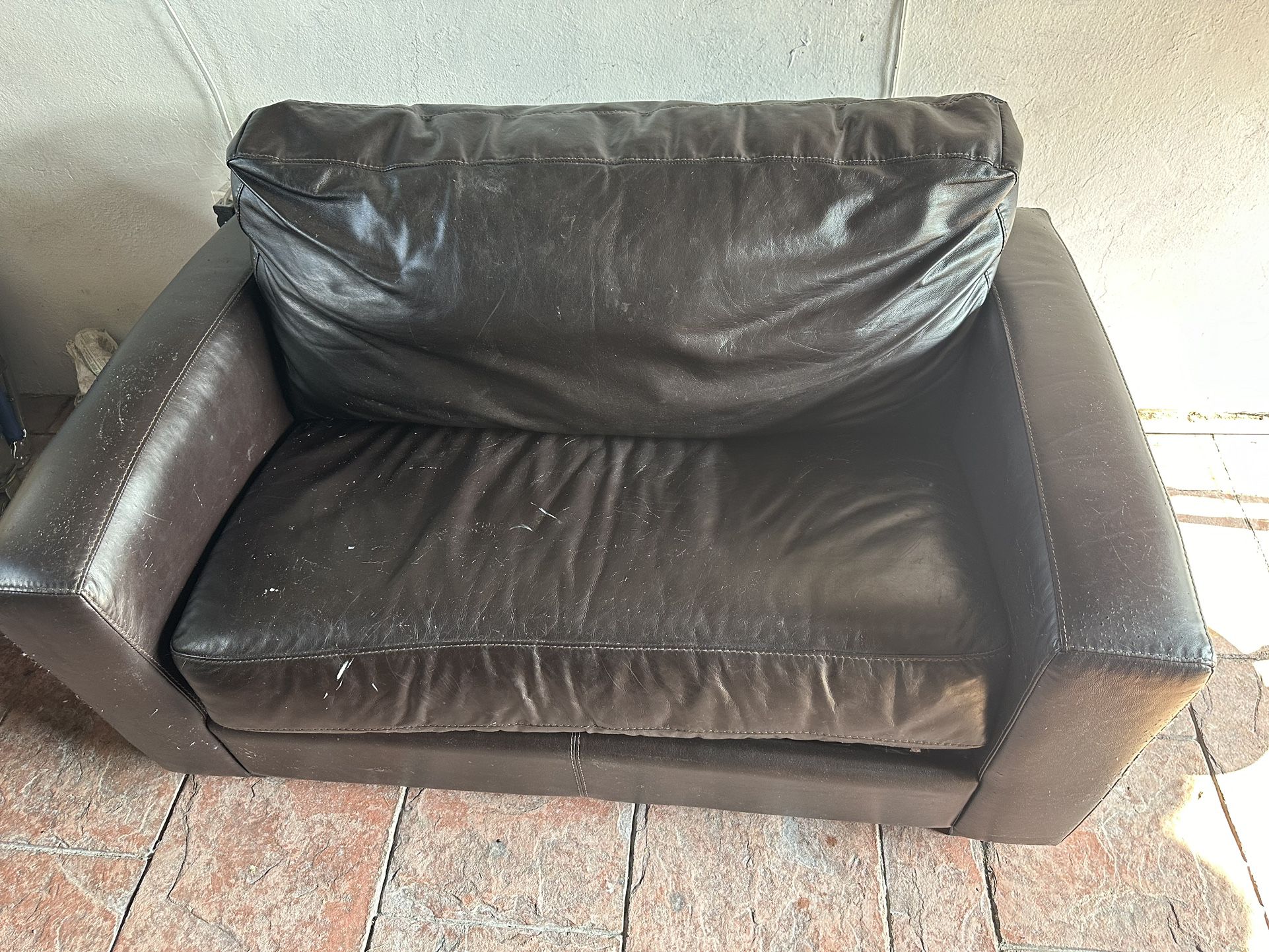 Twin Sleeper Leather Sofa