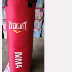 MMA Bag Everlast
