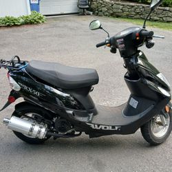 Wolf Scooter 