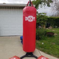 100 Lb Heavy Bag Red