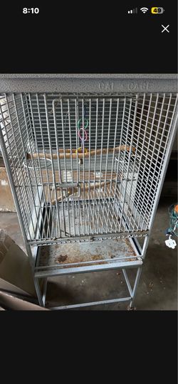 Bird Cage 100
