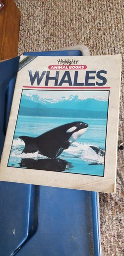 Highlights Whales