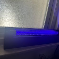 Black Light
