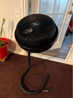 Fan