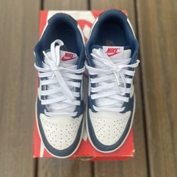 Nike Dunks (READ DESCRIPTION)