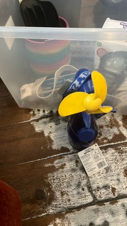 Disney misting fan