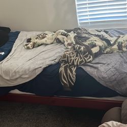 Twin Size Bed frame (mattress Included)