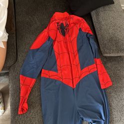 Spider-Man Unisex Size L Adult