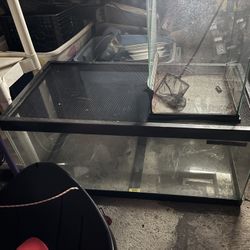 Fish Tank