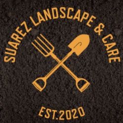 Grass ,sprinklers, Low Volt Lighting 