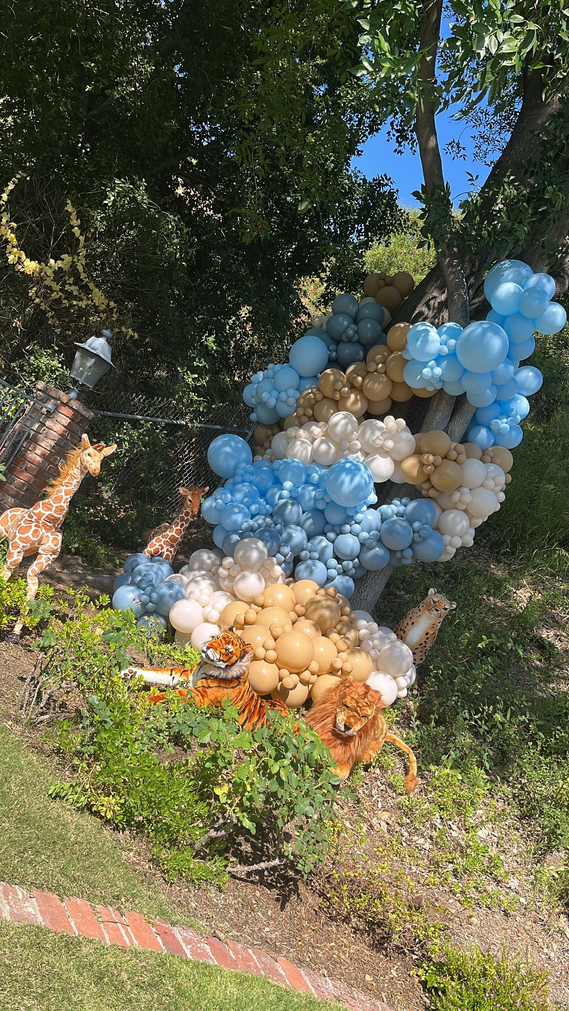 Safari Birthday Party Theme