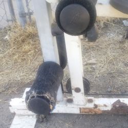 Weight Bench 