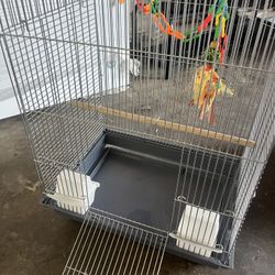 Bird Cage