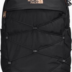 Northface borealis Luxe Backpack 