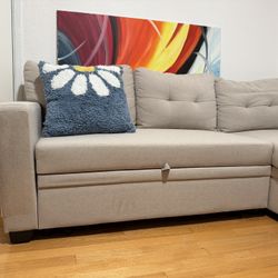 IKEA Sleeper Sectional Sofa Only For Pick Up 