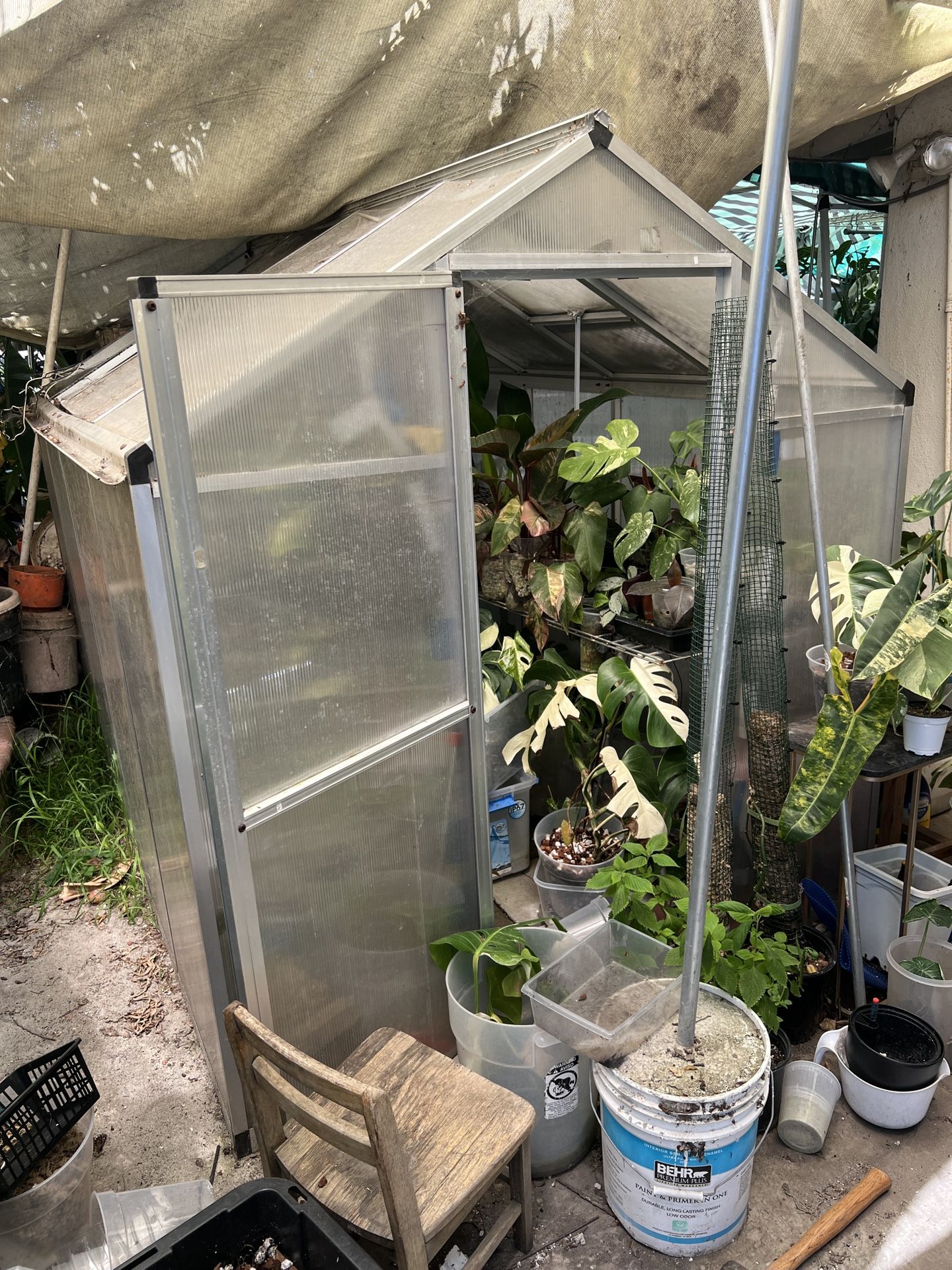 Greenhouse For Plants