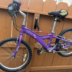 Trek Girls Bike