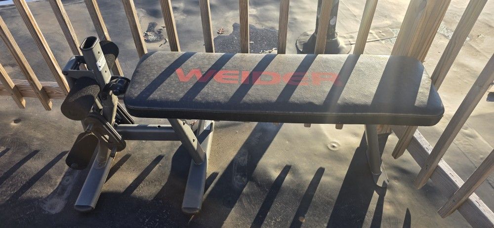 Weight Bench