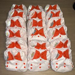 BumGenius  All-In-One Diapers 