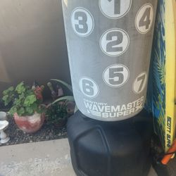 Punching Bag