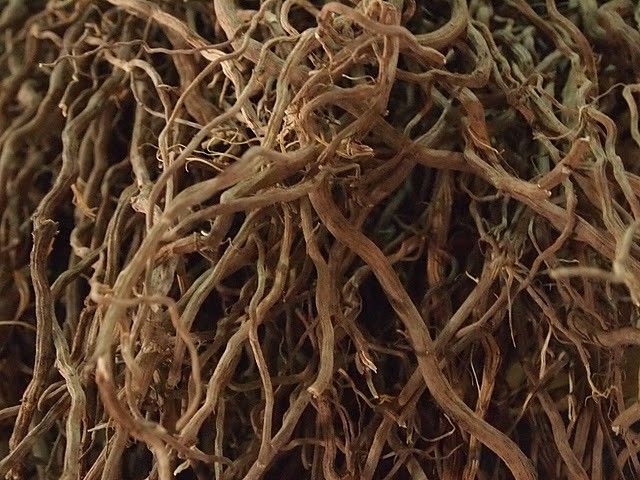 Kava Kava Root Powder
