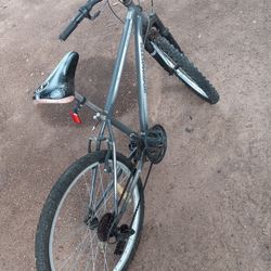 Mountain Bike 24inch ROADMASTER No Shifting But Work Perfect Evrything Is Good Very Good Tires And New Tubes 