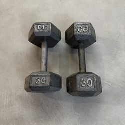 30 LB Iron Dumbbells