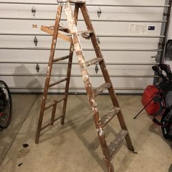 6ft Ladder