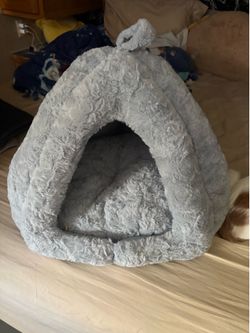Cat bed