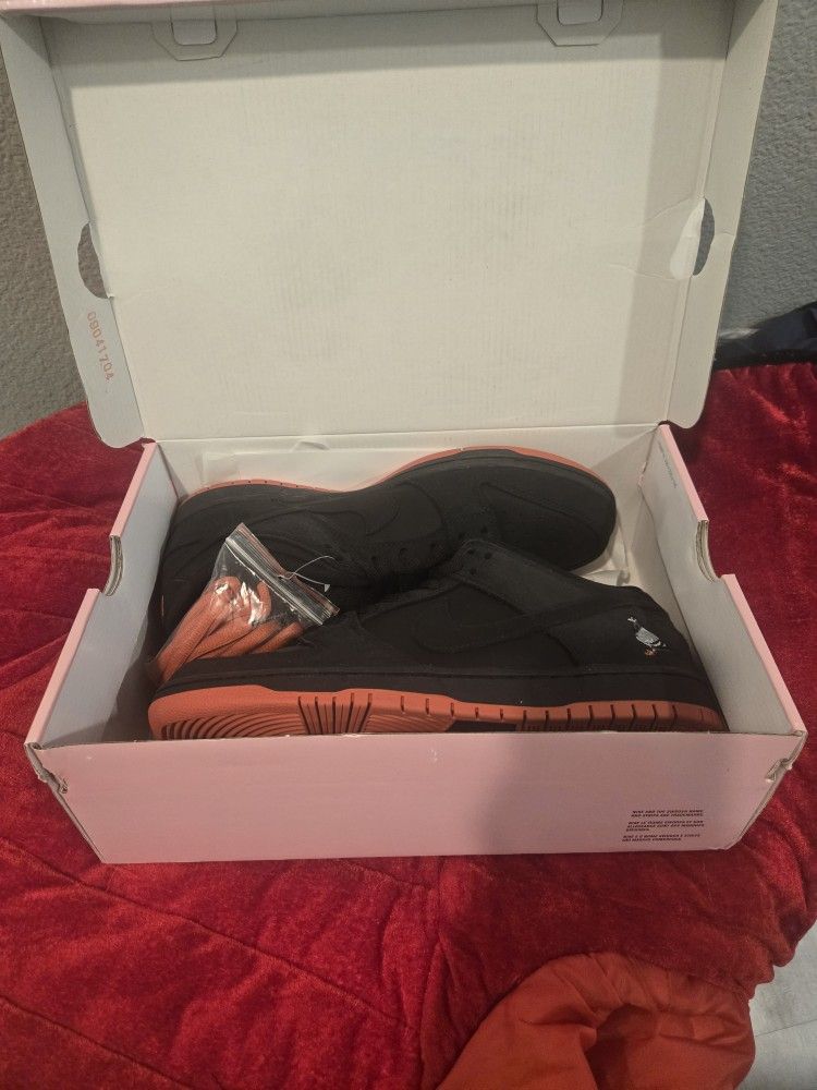 Nike Pigeon Dunk Sb Deadstock