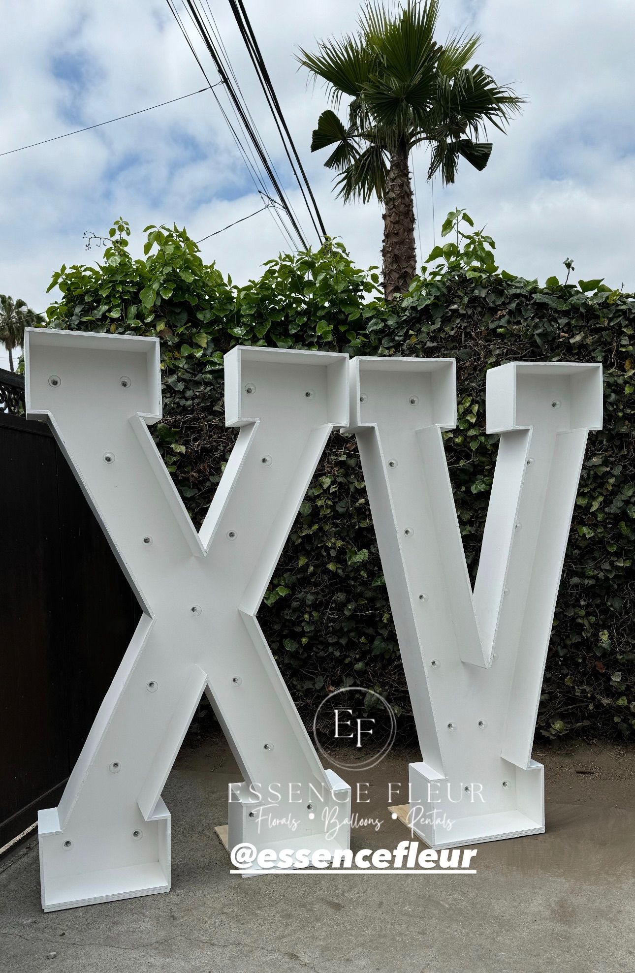 6 ft Marquee Letters