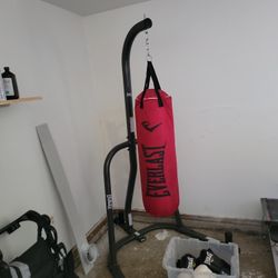 Everlast Punching Bag With Stand And Gloves